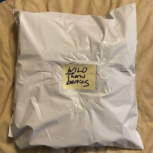 The Wild Thornberry's “Kids Meal Sealed Collectibles” - Picture 5 of 10